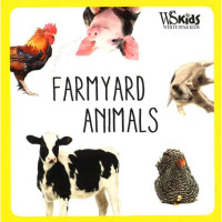 Farmyard Animals