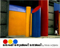 Is it red? is it yellow? is it blue?: An adventure in color!